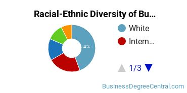 Racial-ethnic diversity of Business Administration & Management majors at Collin County Community College District