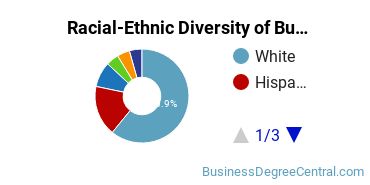 Racial-Ethnic Diversity of Business Economics Majors at Colorado State University - Pueblo