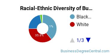 Racial-ethnic diversity of Business Administration & Management majors at Colorado Technical University-Colorado Springs