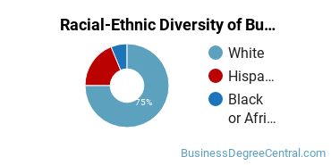 Racial-ethnic diversity of Business Administration & Management majors at Columbia College