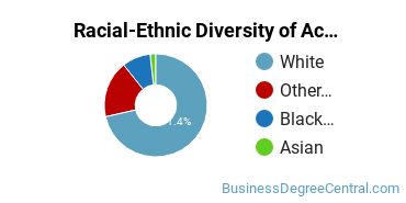 Racial-Ethnic Diversity of Accounting Technology/Technician and Bookkeeping Majors at Community College of Allegheny County
