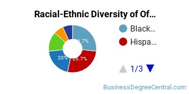 Racial-Ethnic Diversity of Office Administration Majors at Community College of Aurora