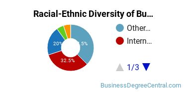 Racial-Ethnic Diversity of Business Administration & Management Majors at Concordia College - New York