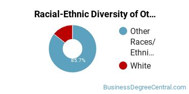 Racial-Ethnic Diversity of Other Marketing Majors at Concordia College - New York