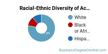 Racial-Ethnic Diversity of Accounting Majors at Culver - Stockton College