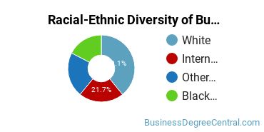 Racial-ethnic diversity of Business Administration & Management majors at Cumberland University