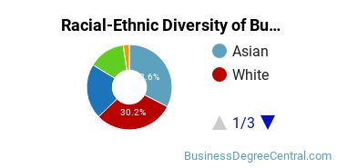Racial-Ethnic Diversity of Business Statistics Majors at Baruch College