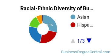 Racial-Ethnic Diversity of Business Economics Majors at Baruch College