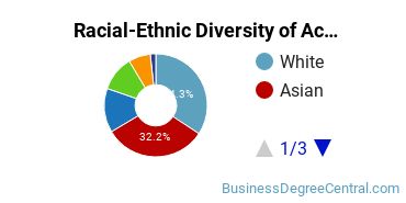 Racial-Ethnic Diversity of Accounting Majors at Brooklyn College