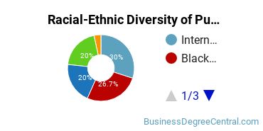 Racial-Ethnic Diversity of Public Relations, Advertising, & Applied Communication Majors at The City College of New York