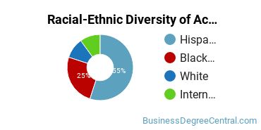 Racial-Ethnic Diversity of Accounting Majors at Lehman College