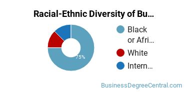 Racial-Ethnic Diversity of Business Economics Majors at Medgar Evers College