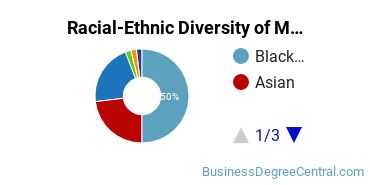 Racial-Ethnic Diversity of Marketing/Marketing Management, General Majors at New York City College of Technology