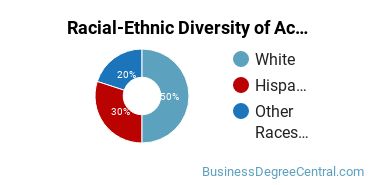 Racial-Ethnic Diversity of Accounting Technology/Technician and Bookkeeping Majors at Daytona State College