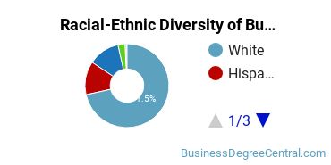 Racial-ethnic diversity of Business Administration & Management majors at Daytona State College