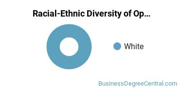 Racial-Ethnic Diversity of Operations Management Majors at Daytona State College