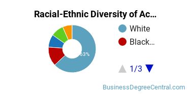 Racial-Ethnic Diversity of Accounting Majors at Delaware Technical Community College - Terry