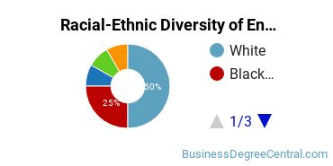 Racial-Ethnic Diversity of Entrepreneurship Majors at Delaware Technical Community College - Terry