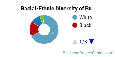 Racial-ethnic diversity of Business Administration & Management majors at Delaware Valley University