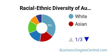 Racial-Ethnic Diversity of Auditing Majors at DePaul University