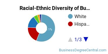 Racial-Ethnic Diversity of Business Economics Majors at DePaul University