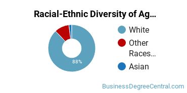 Racial-Ethnic Diversity of Agricultural/Farm Supplies Retailing and Wholesaling Majors at Des Moines Area Community College