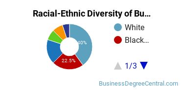 Racial-ethnic diversity of Business Administration & Management majors at DeVry University-Arizona