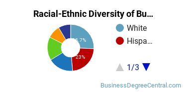 Racial-ethnic diversity of Business Administration & Management majors at DeVry University-California