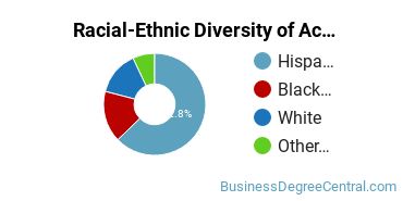 Racial-Ethnic Diversity of Accounting Majors at DeVry University - Florida