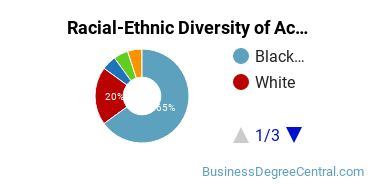 Racial-Ethnic Diversity of Accounting Majors at DeVry University - Georgia