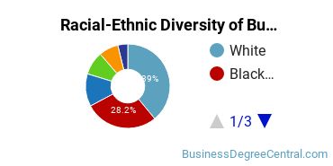 Racial-ethnic diversity of Business Administration & Management majors at DeVry University-Illinois