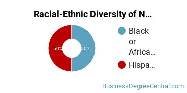 Racial-Ethnic Diversity of Non-Profit/Public/Organizational Management Majors at DeVry University - Nevada