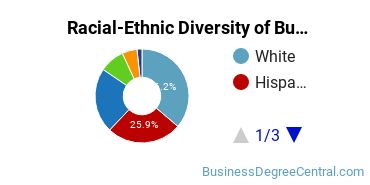 Racial-Ethnic Diversity of Business Administration & Management Majors at DeVry University - New Jersey