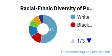 Racial-Ethnic Diversity of Public Relations, Advertising, & Applied Communication Majors at Drexel University