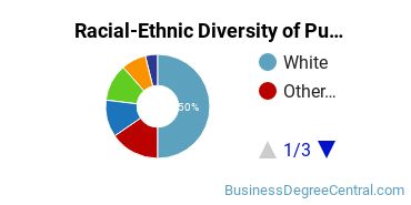 Racial-Ethnic Diversity of Public Relations, Advertising, & Applied Communication Majors at Drexel University
