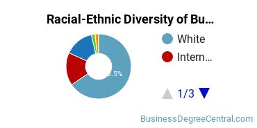 Racial-ethnic diversity of Business Administration & Management majors at East Tennessee State University