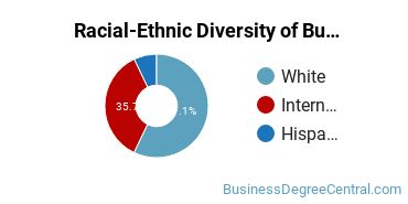 Racial-Ethnic Diversity of Business Economics Majors at East Tennessee State University