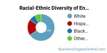Racial-ethnic diversity of Entrepreneurial Studies majors at Eastern Arizona College