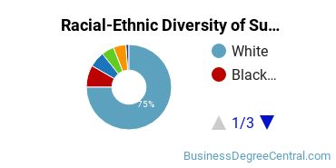 Racial-Ethnic Diversity of Supply Chain Management Majors at Eastern Michigan University