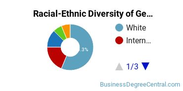 Racial-Ethnic Diversity of General Economics Majors at Eastern Michigan University