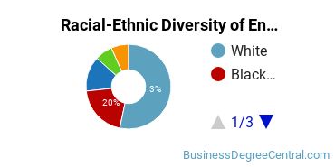 Racial-Ethnic Diversity of Entrepreneurship Majors at Eastern Michigan University