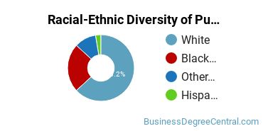 Racial-Ethnic Diversity of Public Relations Majors at Eastern Michigan University