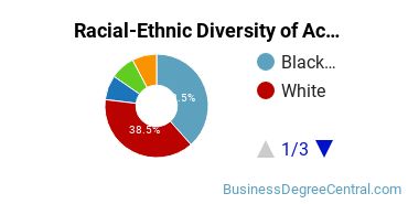 Racial-Ethnic Diversity of Accounting Majors at ECPI University