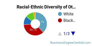 Racial-Ethnic Diversity of Other Management Information Systems and Services Majors at ECPI University