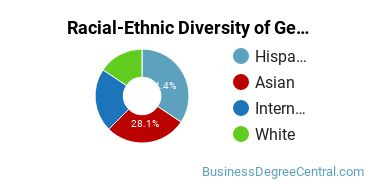 Racial-Ethnic Diversity of General Economics Majors at El Camino College