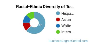 Racial-Ethnic Diversity of Tourism and Travel Services Marketing Operations Majors at El Paso Community College