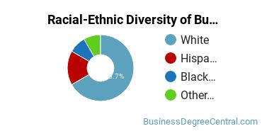 Racial-ethnic diversity of Business Administration & Management majors at Elgin Community College