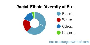 Racial-ethnic diversity of Business Administration & Management majors at Elizabeth City State University