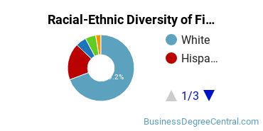 Racial-Ethnic Diversity of Finance Majors at Elmhurst University