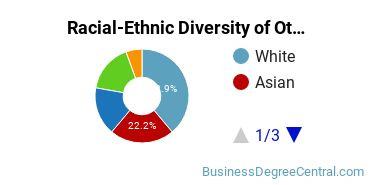 Racial-Ethnic Diversity of Other Management Sciences and Quantitative Methods Majors at Elmhurst University